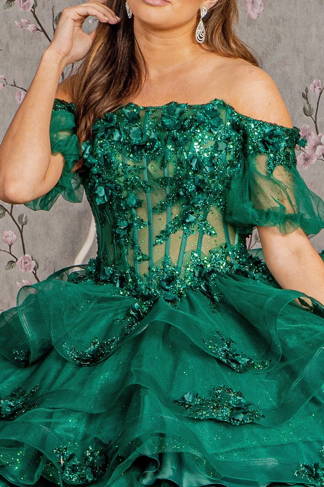 3D Floral Sheer Bodice Ball Gown by Elizabeth K GL3180