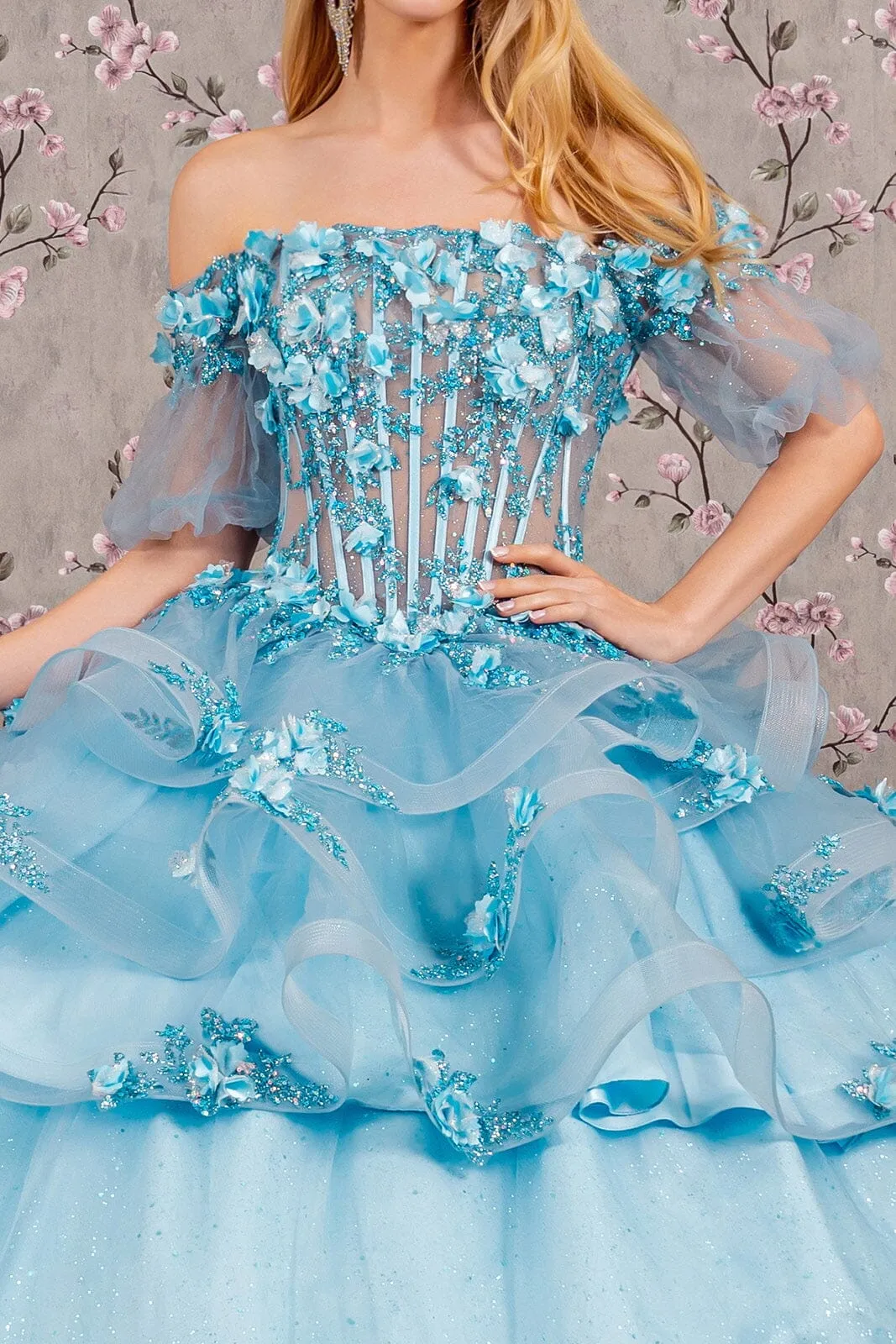 3D Floral Sheer Bodice Ball Gown by Elizabeth K GL3180