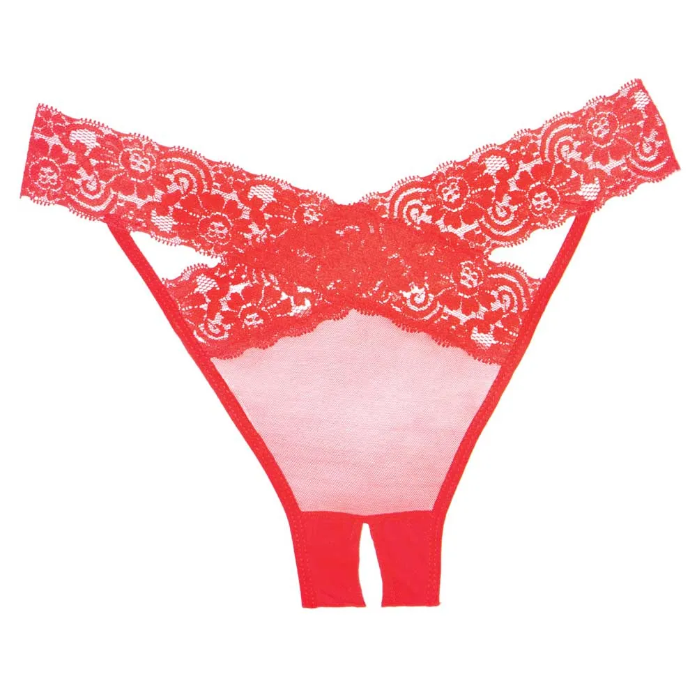 Allure Adore Desiré Crotchless Mesh & Criss-Cross Lace Panties