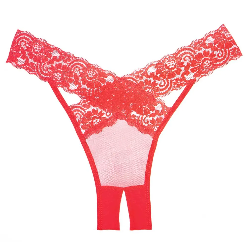 Allure Adore Desiré Crotchless Mesh & Criss-Cross Lace Panties