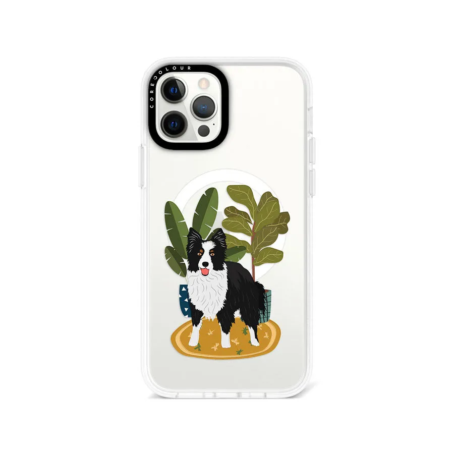 iPhone 12 Pro Border Collie Phone Case MagSafe Compatible