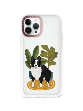 iPhone 12 Pro Border Collie Phone Case