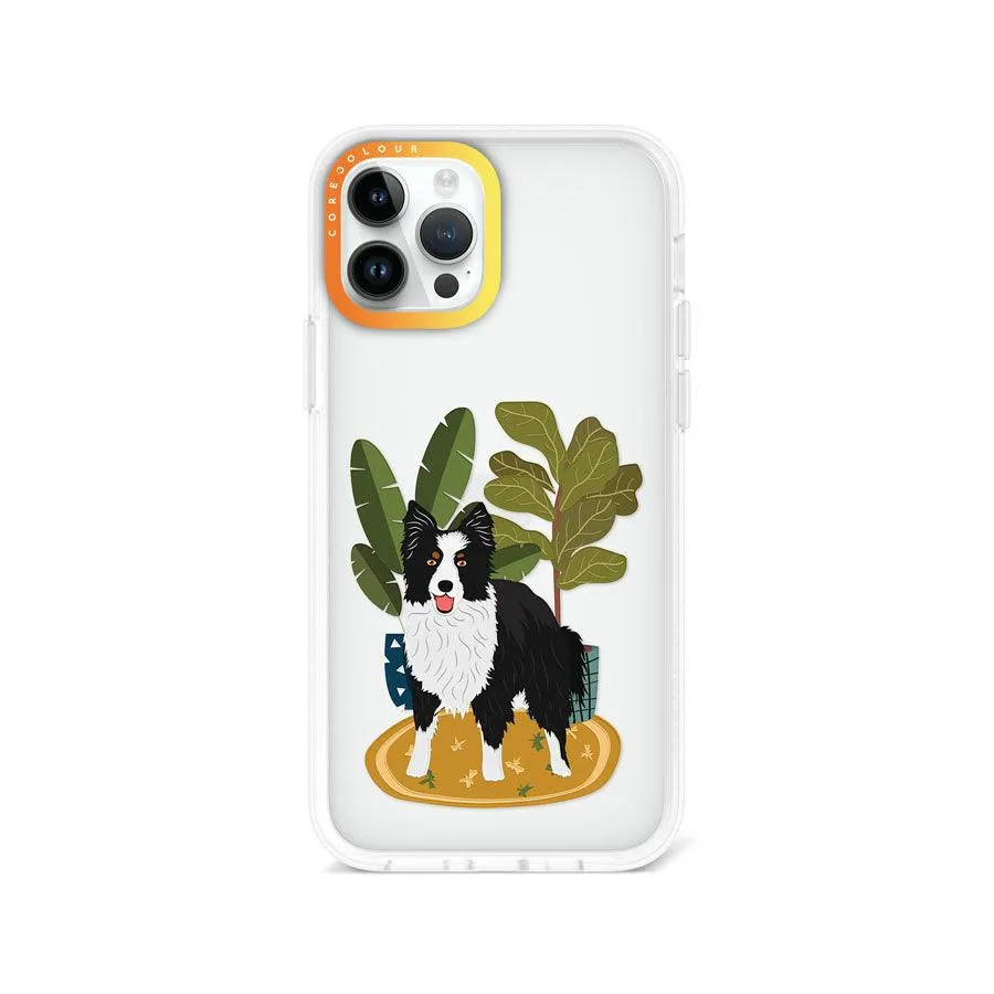 iPhone 12 Pro Border Collie Phone Case